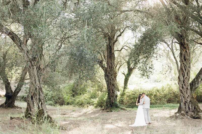Moonbeam Honeymoons