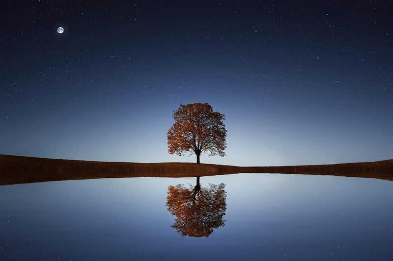 Moonlit Lake